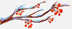 Mr小百万采集到梅花