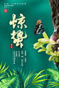 二十四节气海报