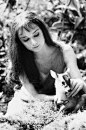 奥黛丽赫本&鹿。 摄1959年影片《翠谷香魂》（Green Mansions）时，情节需要出现一只随时跟随赫本的小鹿，动物训练师建议她将这只名为Pippin（或lp）的小鹿带回家当作宠物以培养感情，赫本的女佣回忆第一次见到这只小鹿的情形，“我简直不敢相信自己的眼睛，它和赫本相处时那么融洽”。