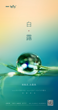 这糖好苦5683采集到节气