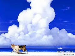 日本插画大师村松诚笔下的猫