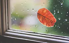 简约唯美的小清新风景图片桌面壁纸