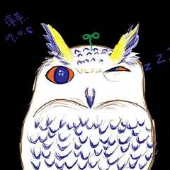 洋芋  的插画 猫头鹰