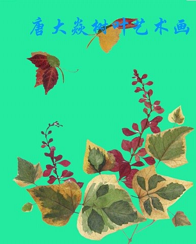 [推荐]唐大焱的树叶画 - 轰动美术工作...