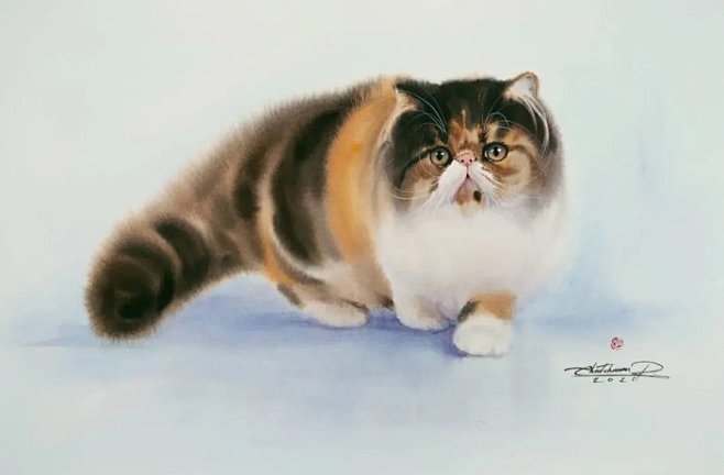 Chatchawarn Ruksa·猫
