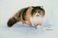 Chatchawarn Ruksa·猫
