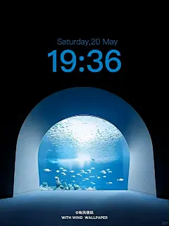 “蓝色海洋馆”｜治愈系壁纸｜氛围感壁纸_1_有风壁纸_来自小红书网页版