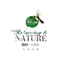 文案字体排版
