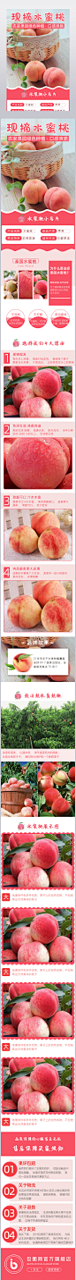 夏季水蜜桃桃子有机新鲜水果电商淘宝详情页
