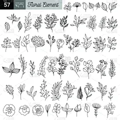 边框,乡村风格,草图,绘画插图,枝,叶子,矢量,手,花,复古