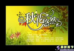 秋花悠然秋季海报PSD分层素材枫叶|蝴蝶图片素材|菊花|红菊花黄菊花|菊花盛开菊花菊|菊花粉色菊花|菊花紫菊花