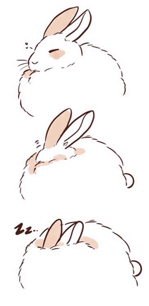 兔子文艺插画_百度图片搜索