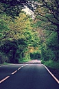(6) Tumblr