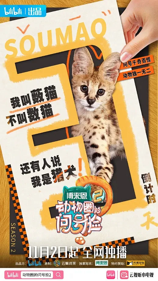 综艺哔哔姬的个人空间_哔哩哔哩_bilibili-花瓣网