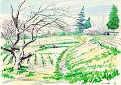 田园小清新，拿图的扣1_壁纸吧_百度贴吧