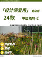 本期更新： #钓钟柳#东方狼尾草#重瓣绣线菊#大丽花#地被植物