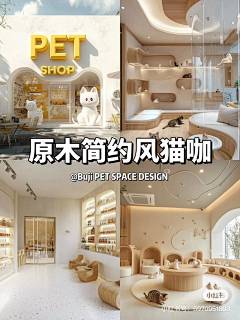 老了会很帅采集到宠物医院 猫咖