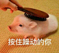 来自相册