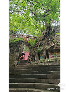 一万年年采集到速写风景