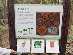 秦淮小诸葛采集到展厅