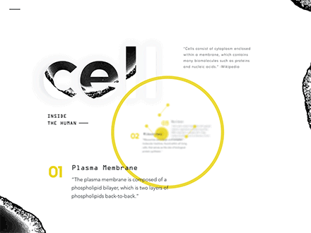 美国设计工作室sharp+nimble的...