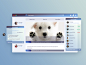 Daily 043 ui hezy