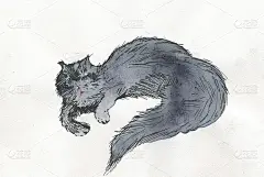 流浪猫画水彩画