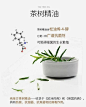 美菰林官网---中国优质茶树精油源头供应商