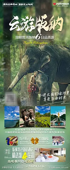 版纳旅游海报-源文件-采灵感-cailinggan.com