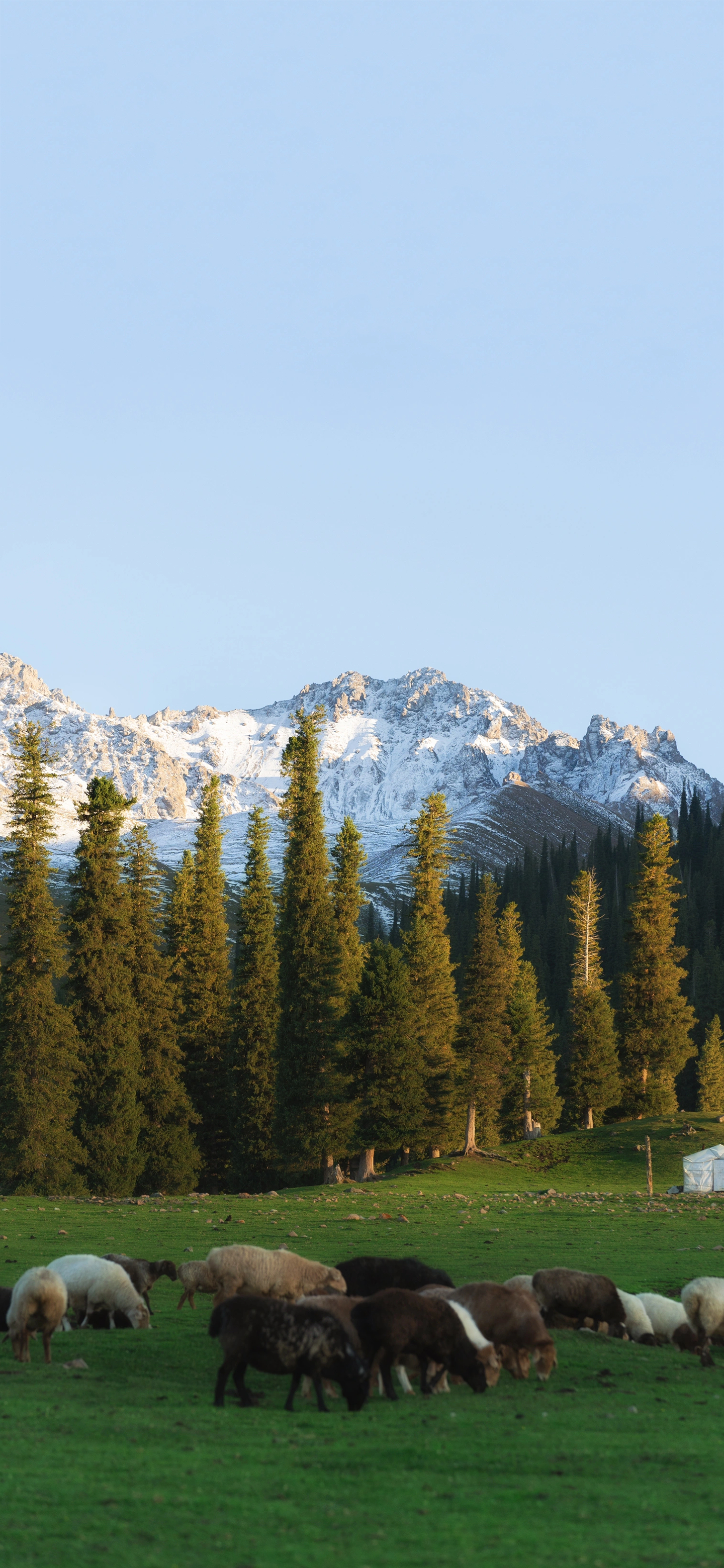 又发现一张还不错的手机壁纸