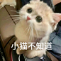 搞笑 - 热门推荐 - 微博