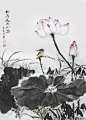 荷花翠鸟图