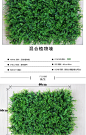 人造草坪仿真植物墙仿真草坪米兰人工草皮地毯假花绿植婚庆装饰品-tmall.com天猫