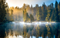 秋天芬兰风景 森林 湖 树木 倒映 早晨的雾 摄影图片