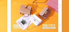 -搁浅采集到女包素材加参考