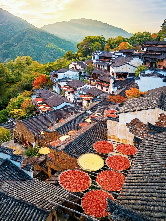 婺源·篁岭｜春夏秋冬都 ️出片的乡村古镇 白墙黛瓦、薄雾轻烟、万亩梯田，被称为悬挂在半山腰的最美古村落—篁岭 建村于明代，有500多年的历史