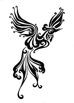 芝熊采集到花纹