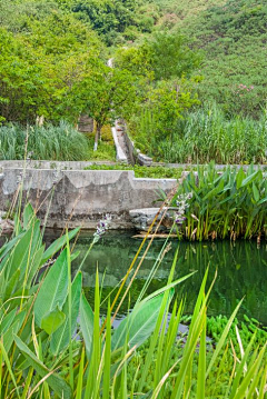 圆胖子在用功采集到市政景观——湿地公园