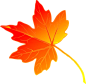 Vibrant Orange Maple Leaf Clipart PNG