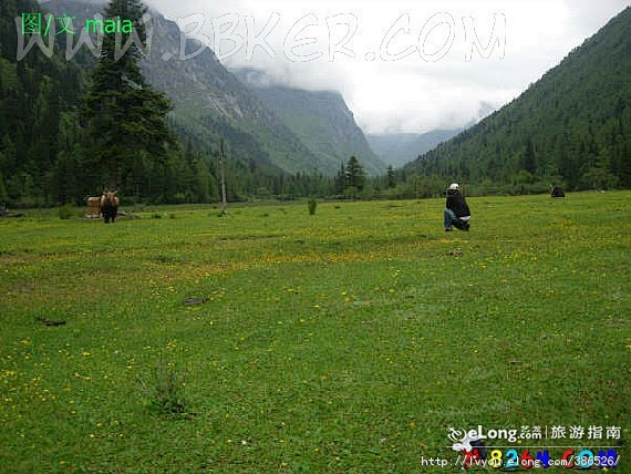 《转》成都之行, 刘金雨旅游攻略