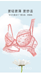 伊丝艾拉超薄文胸 新款透气内衣女薄款大胸显小全蕾丝性感胸罩bra-tmall.com天猫