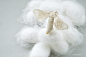 Silkworm moth by Alex.Dong @ 9imy.com on 500px