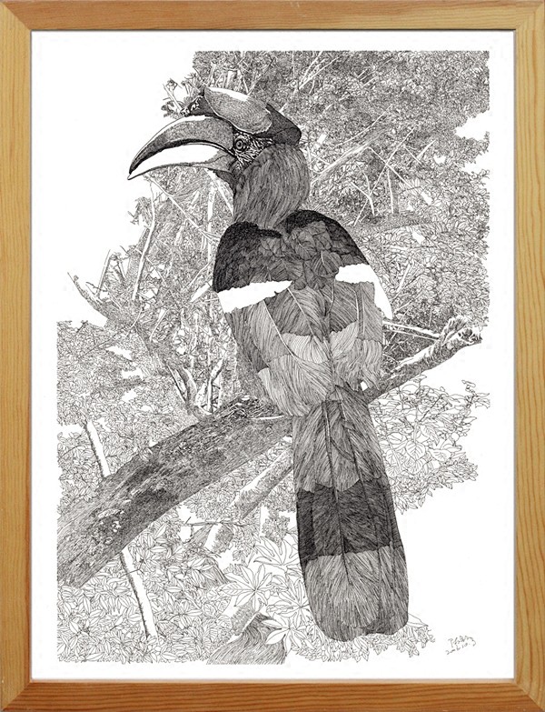 钢笔画犀鸟素描装饰画现代简约工艺画工笔画客厅卧室书房淘宝网