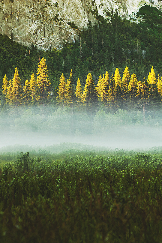 about-epic:

Greener...