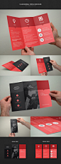 Clean Minimal Trifold Brochure