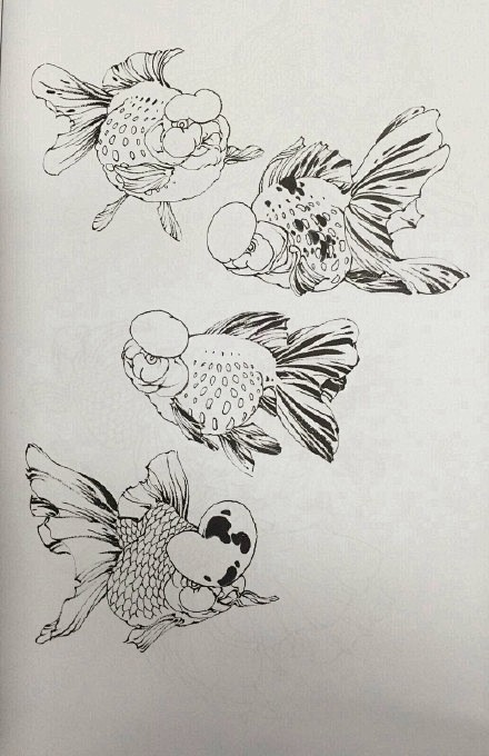 【 传统 金鱼白描法… 】_线稿教程4 ...