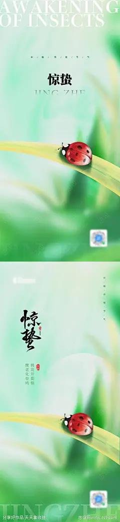 地产惊蛰节气海报-源文件分享-ywjfx.cn