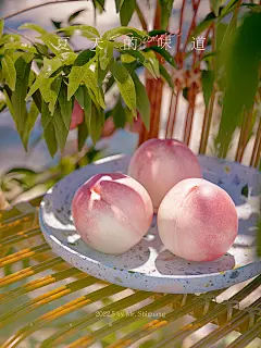 水蜜桃植物水果渲染