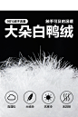 详情优化面料细节面料解析