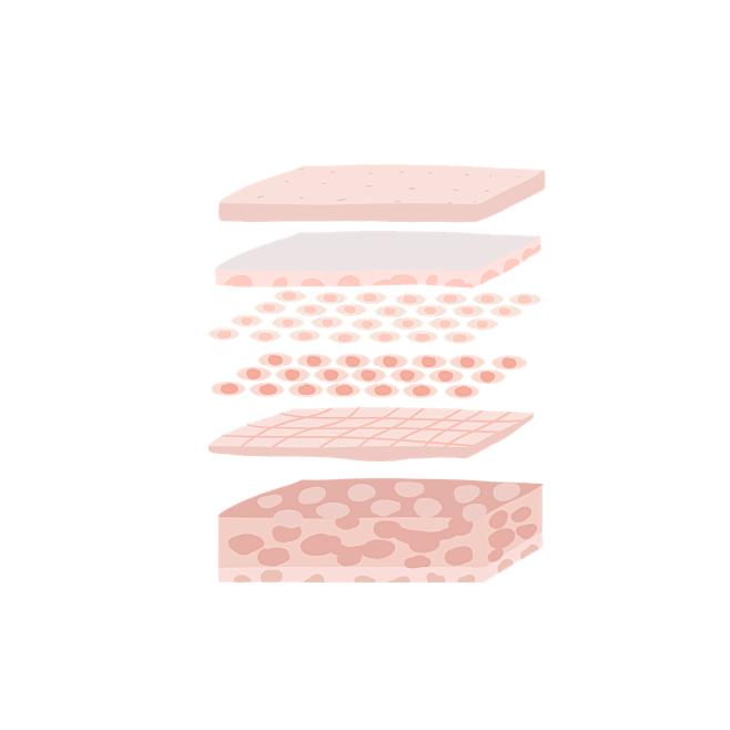 千库网_皮肤组织表层_元素编号13052...